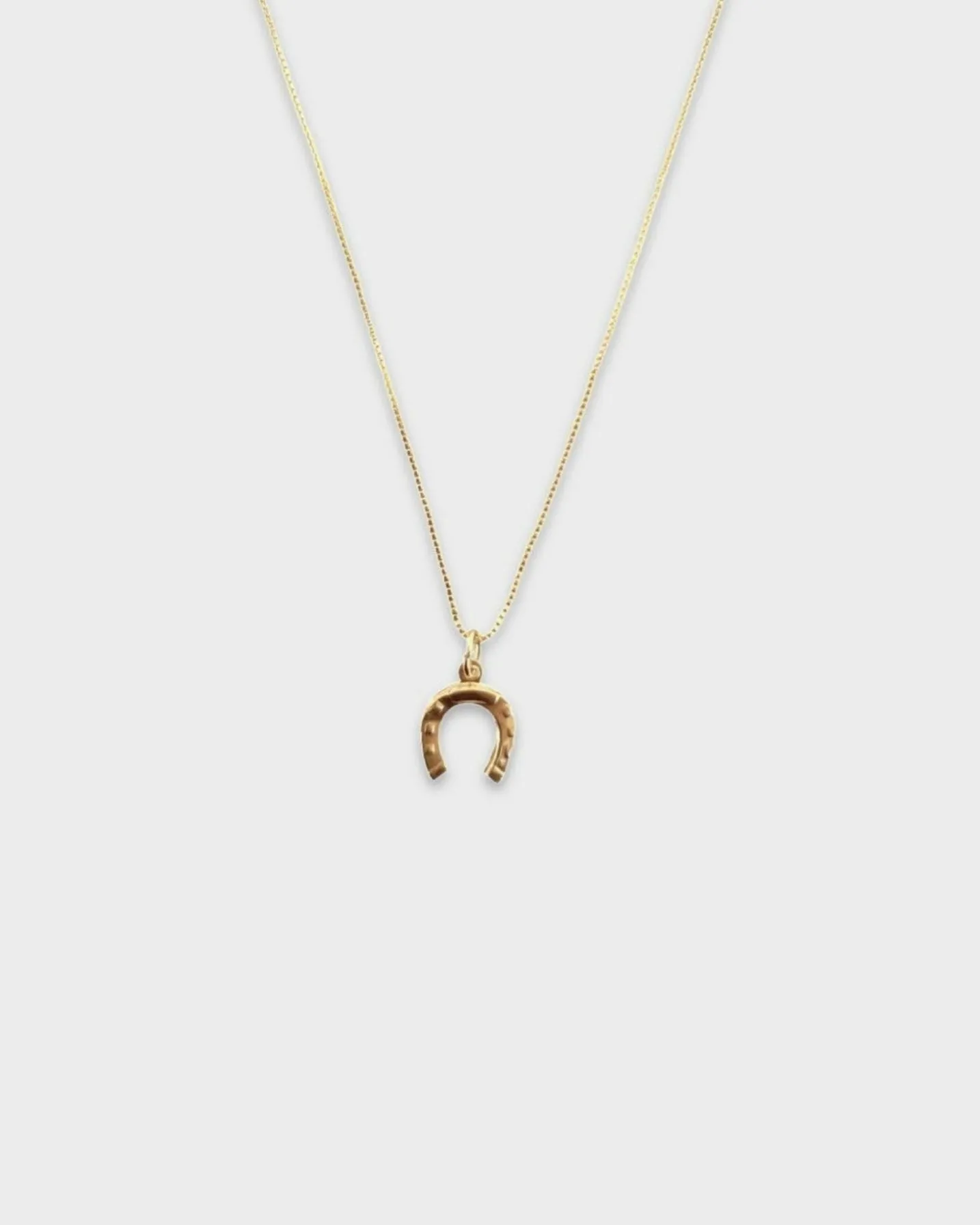 Horseshoe Necklace